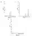 Fig. 01 - Method of making ionic liquid mediated sol-gel sorbents