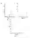 Fig. 12 - Method of making ionic liquid mediated sol-gel sorbents