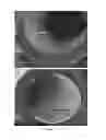 Fig. 14 - Method of making ionic liquid mediated sol-gel sorbents