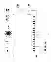 Fig. 17 - COMPOSITE MATERIAL
