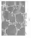 Fig. 17 - Method for fabricating coiled nano carbon material, coiled nano carbon layered substrate and coiled nano carbon material thereof