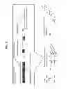Fig. 03 - LAMINATED COMPOSITIONS AND METHODS