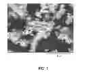 Fig. 02 - Method of forming efficient phosphor powders