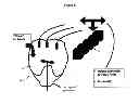 Fig. 09 - Microbial fuel cell