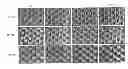 Fig. 01 - Method of improving surface cure in digital flexographic printing plates