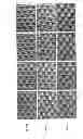 Fig. 02 - Method of improving surface cure in digital flexographic printing plates