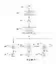 Fig. 06 - System, components and methodologies for training and testing on cardiac compressions