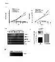 Fig. 02 - METHODS OF DIAGNOSING, CLASSIFYING AND TREATING ENDOMETRIAL CANCER AND PRECANCER