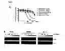 Fig. 03 - METHODS OF DIAGNOSING, CLASSIFYING AND TREATING ENDOMETRIAL CANCER AND PRECANCER