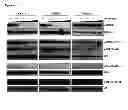Fig. 07 - METHODS OF DIAGNOSING, CLASSIFYING AND TREATING ENDOMETRIAL CANCER AND PRECANCER