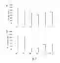Fig. 09 - COMPOSITIONS AND METHODS TARGETING FORCE GENERATION IN KINESIN