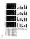 Fig. 09 - Method for Measuring Glycoprotein, Method for Examining Liver Desease, Reagent for Quantitative Determination of Glycoprotein and Glycan-Marker Glycoprotein as an Index for Clinical Conditions of Liver Disease