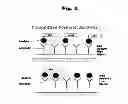 Fig. 05 - Antibodies to risperidone and use thereof
