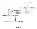 Fig. 05 - METHOD FOR DETECTING PROTEIN S ABNORMALITES
