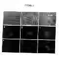 Fig. 07 - Novel Culture System for Ex Vivo Development