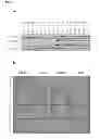 Fig. 07 - METHODS FOR THE IDENTIFICATION OF AGENTS THAT INHIBIT MESENCHYMAL-LIKE TUMOR CELLS OR THEIR FORMATION