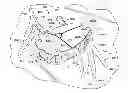 Fig. 01 - Ambulatory toy