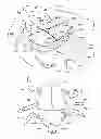 Fig. 02 - Ambulatory toy