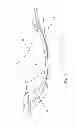 Fig. 06 - BRASSIERE CUP PLASTIC STRIP SUPPORT AND MANUFACTURING METHOD THEREFOR