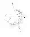 Fig. 07 - BRASSIERE CUP PLASTIC STRIP SUPPORT AND MANUFACTURING METHOD THEREFOR
