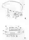 Fig. 01 - Protective hood device