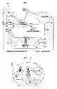 Fig. 02 - Automatic neighbour relation