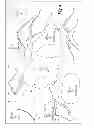 Fig. 06 - Mobile cellular networks