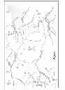 Fig. 07 - Mobile cellular networks