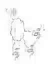 Fig. 02 - Passive dynamic geofencing for mobile devices