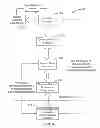 Fig. 06 - Multiple-processor wireless mobile communication device