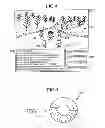 Fig. 05 - Method for displaying chat window applied to network game