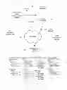 Fig. 04 - Adaptive environmental effects