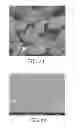 Fig. 08 - Zirconia-based material doped with yttrium and lanthanum