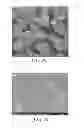Fig. 09 - Zirconia-based material doped with yttrium and lanthanum
