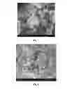Fig. 06 - Sulfonated carbon silica composite material and a process for the preparation thereof