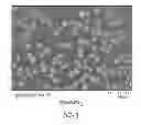Fig. 04 - Sinter resistant catalytic material and process of producing the same