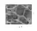 Fig. 05 - Superhydrophobic and superoleophilic composite