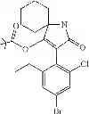 Fig. 110 - 2-acyloxy-pyrrolin-4-ones
