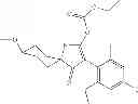Fig. 113 - 2-acyloxy-pyrrolin-4-ones
