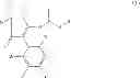 Fig. 137 - 2-acyloxy-pyrrolin-4-ones