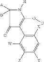 Fig. 48 - 2-acyloxy-pyrrolin-4-ones