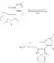 Fig. 90 - 2-acyloxy-pyrrolin-4-ones