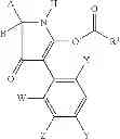 Fig. 94 - 2-acyloxy-pyrrolin-4-ones