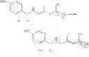 Fig. 110 - PROLYL HYDROXYLASE INHIBITORS AND METHODS OF USE