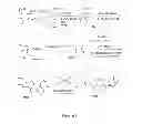 Fig. 06 - Pyridone and aza-pyridone compounds and methods of use