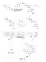Fig. 08 - Pyridone and aza-pyridone compounds and methods of use