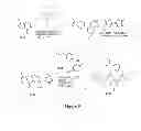 Fig. 09 - Pyridone and aza-pyridone compounds and methods of use