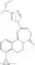 Fig. 210 - Diazepinone derivatives