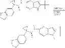 Fig. 726 - Modulators of ATP-binding cassette transporters
