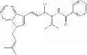 Fig. 40 - Indole derivative or pharmaceutically acceptable salt thereof, preparation method thereof, and pharmaceutical composition for preventing or treating metabolic diseases containing same as active ingredient